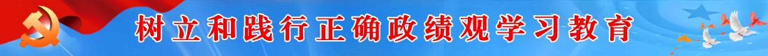 树立和践行正确政绩观学习教育banner图.png